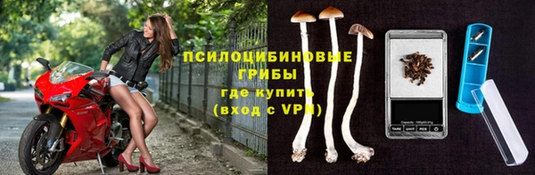 прущая мука Белокуриха